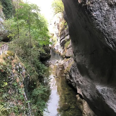 Le Nid De Chartreuse Hébergement de vacances