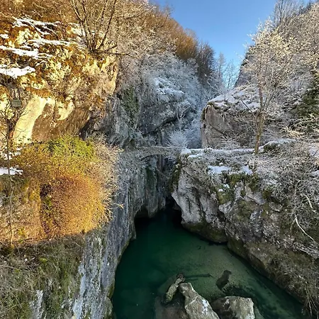 Hébergement de vacances Le Nid De Chartreuse